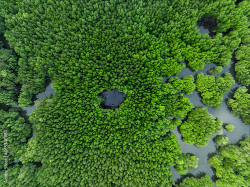 Obraz na płótnie View from above, aerial shot, stunning view of Ao Phang Nga (Phang Nga Bay) National Park with a river flowing through a mangrove forest Thailand. w salonie