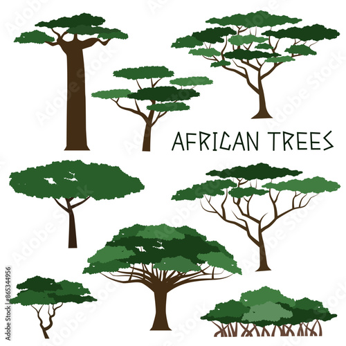 African trees. Colored silhouette of African trees. Vector illustration.