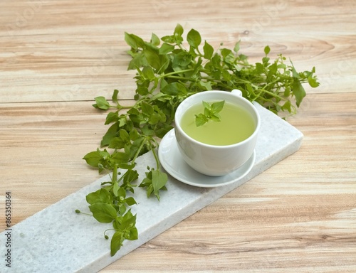 A cup of fresh tea from Chickweed, lat. Stellaria media on white marble. Traditional herb tea rich in minerals is used for detoxificatin, tasty in salads. photo