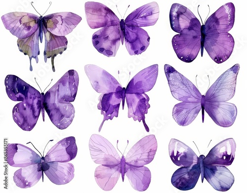Bright purple watercolor butterflies to decorate your wedding invitations, birthday cards, invitations, cards, and invitations. © Антон Сальников