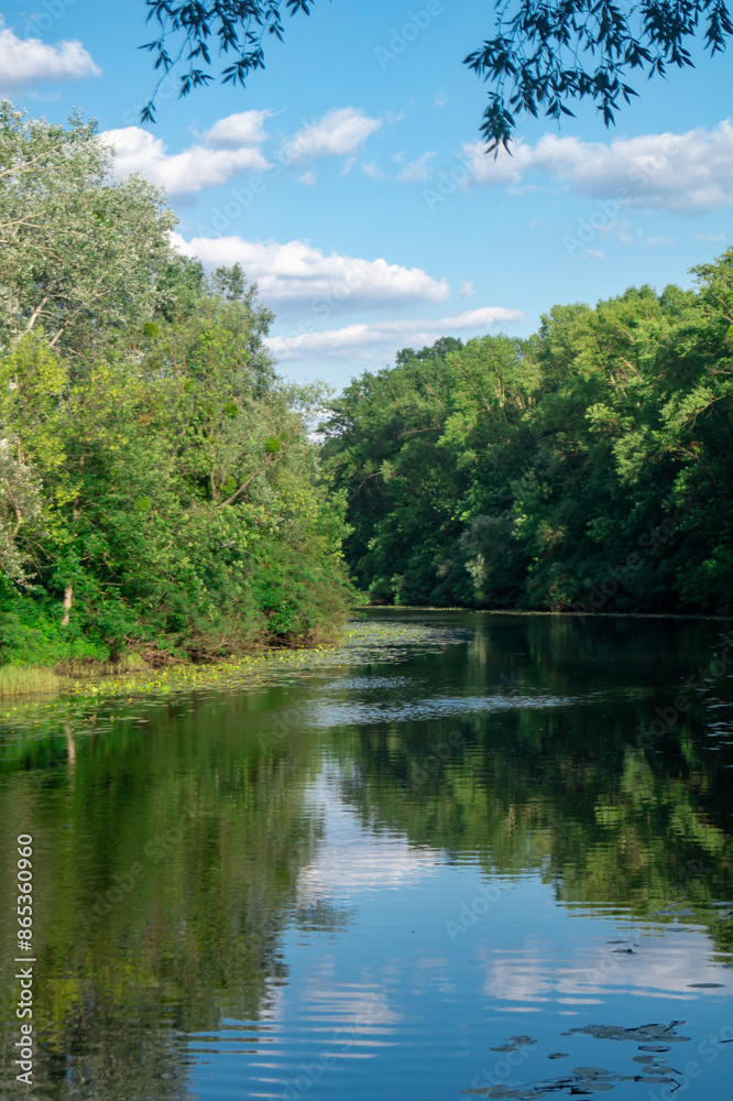 River flows along banks with grass and green trees at sunset. River and trees landscape River flows along banks with grass and green trees at sunset. River and trees landscape