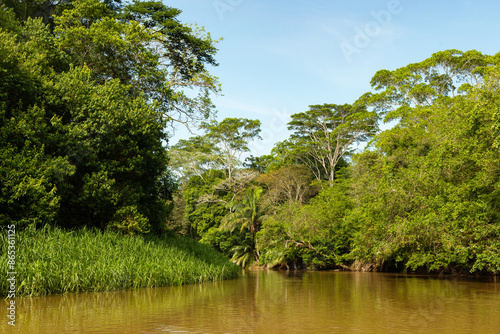 Rio Frio river in the Cano Negro nature reserve in Costa Rica