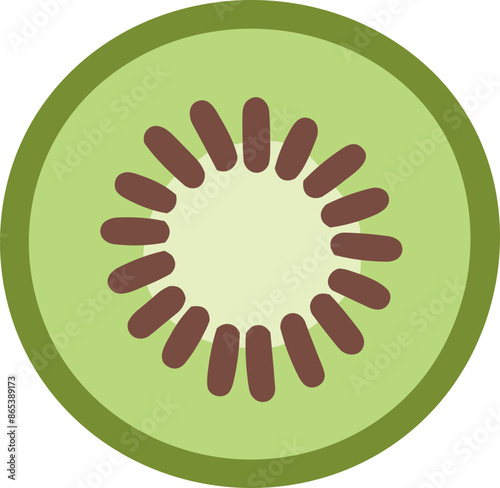 illustration of kiwi fruit