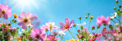 Bright and breezy summer wallpaper featuring a vibrant display of blooming flowers set against a clear,cloudless blue sky with ample copy space in the center for text or design elements. © Mickey