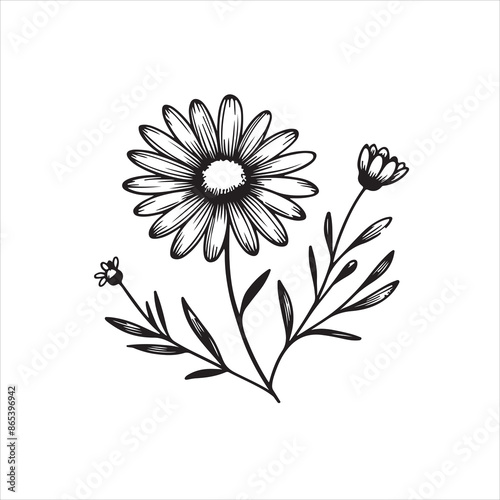 Daisy flower black silhouette isolated on a white background.