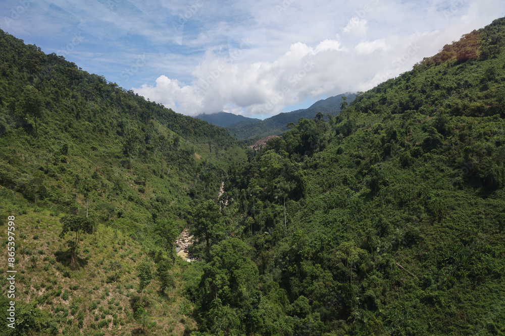 the tree mountain view before from banahill cable car the tree mountain view before from banahill cable car