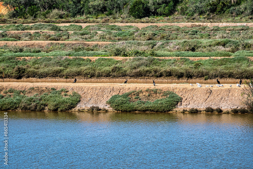 Walking from Troviscais to the River Mira, Vicentine Coast Natural Park Portugal, Rota Vicentina Coast. photo