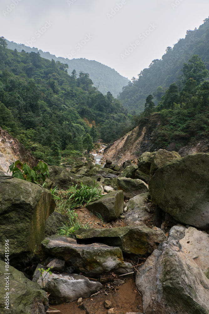 Mountain Stream in Dense Forest Valley
