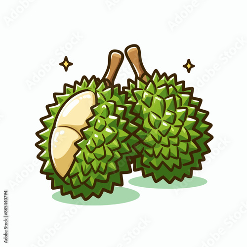 cartoon vector style of durian fruit