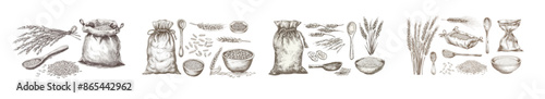I've sketched rice grains. Old seeds pile and crop ears. Whole basmati grain in a bag, scoop, and spoon. Rice porridge bowl. Hand drawn modern set. Illustration healthy food, nutrition, meal
