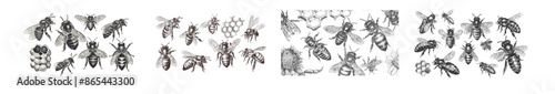 Honey bees, beekeeping farm, and honeyed honeycomb vintage hand drawn modern illustration set