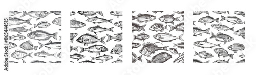 A hand drawn seamless fish pattern. Ocean and river fishes, marine underwater life monochrome print wallpaper sketch. Sea perch, anchovies, herring, mackerel, seabass.