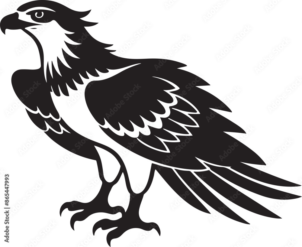 black osprey bird graphics silhouette vector illustration design