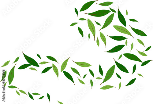 Organic product background with green leaf flying in air. Herbal tea leaves