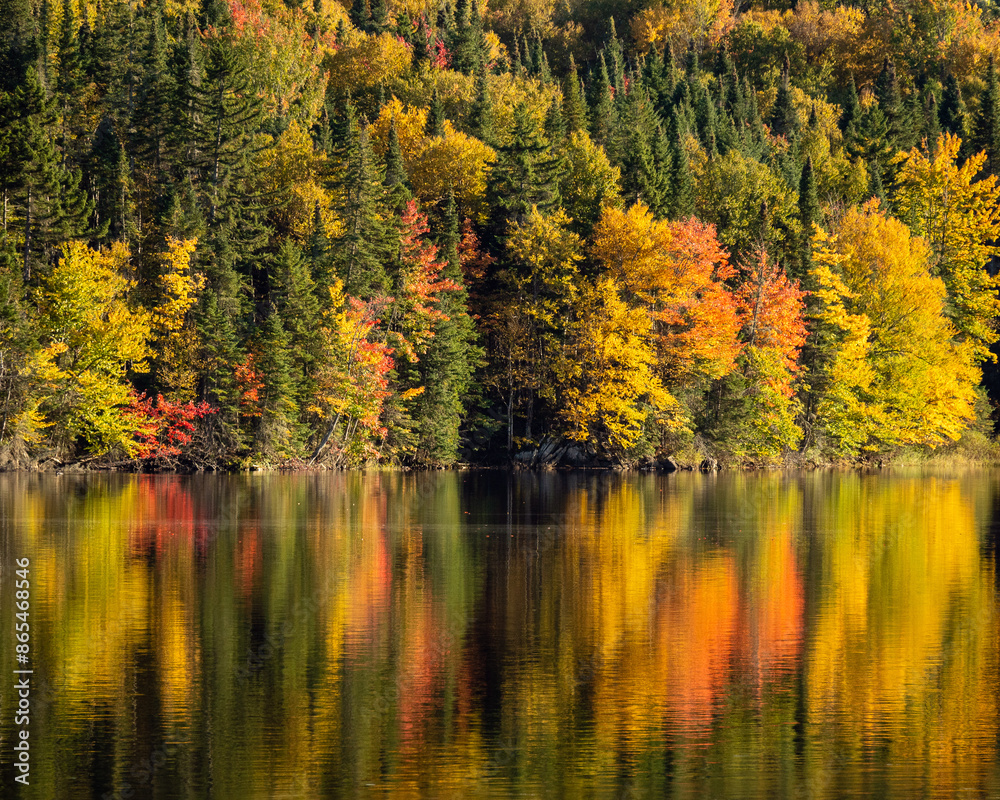 autumn reflection at the lake autumn reflection at the lake