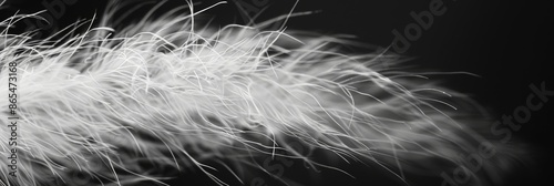 The soft wispy texture of a monochromatic feather is highlighted in stark lighting. Black and white art