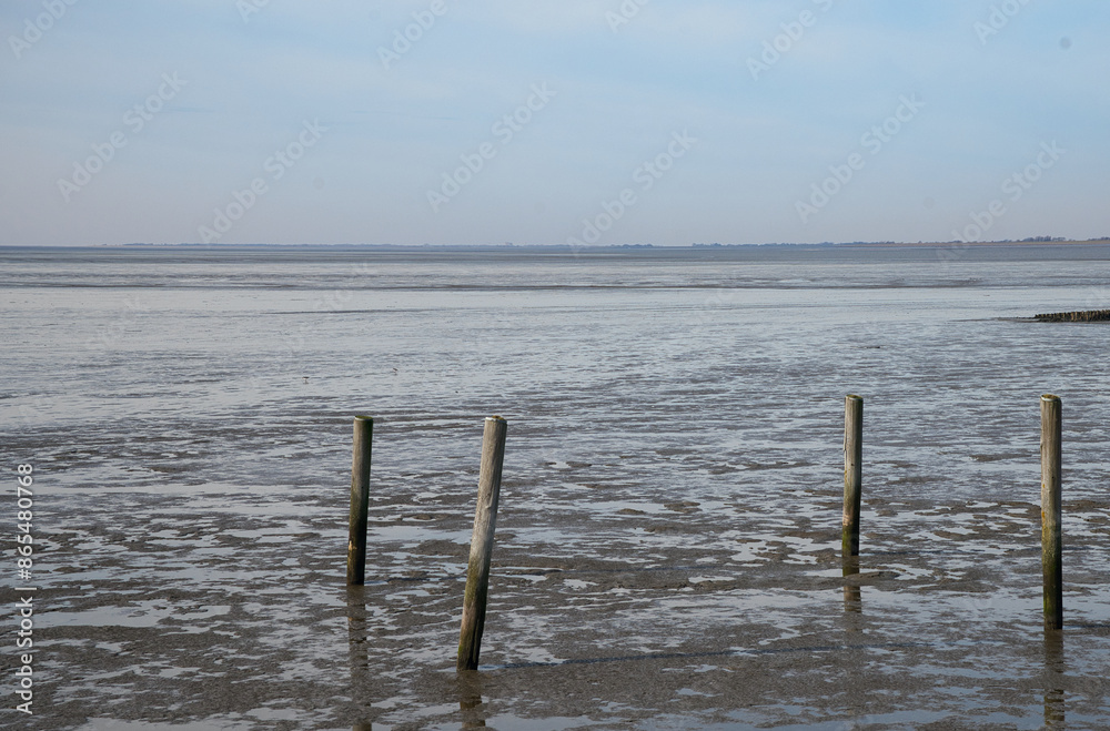 Holzpfähle im Watt der Nordsee bei Meldorf, Deutschland Holzpfähle im Watt der Nordsee bei Meldorf, Deutschland