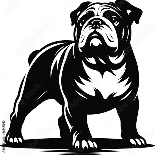 A Bulldog vector, silhouette. A Bulldog face vector, silhouette 