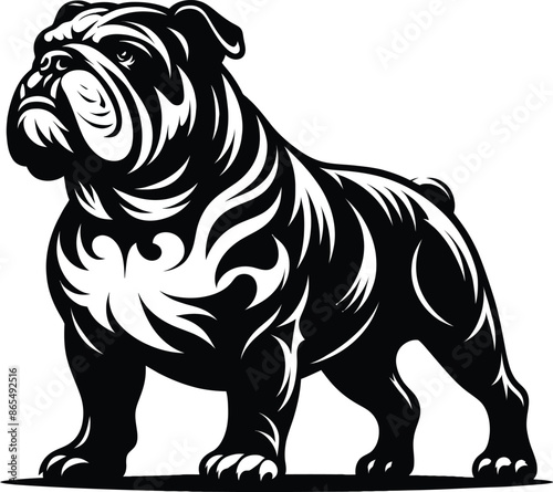 A Bulldog vector, silhouette. A Bulldog face vector, silhouette 