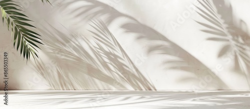 Wallpaper Mural Abstract summer mock-up with palm leaf shadow on white wall and cream pastel floor Torontodigital.ca