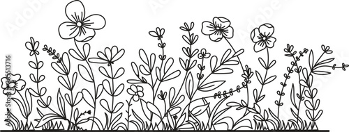 Hand-drawn wildflowers meadow. Black and white doodle wildflowers and grass plants. Monochrome floral elements.