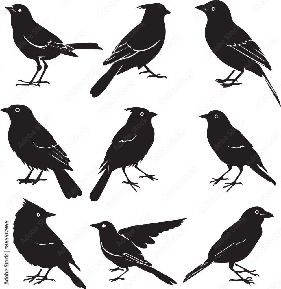 Collection of Black Bird Silhouettes: Vector Design Elements Collection of Black Bird Silhouettes: Vector Design Elements