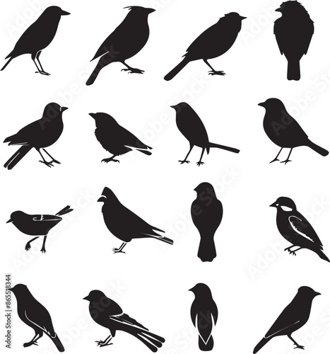 Collection of Black Bird Silhouettes: Vector Design Elements