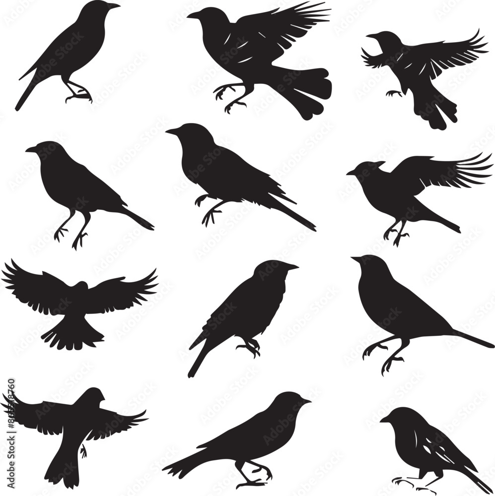 Collection of Black Bird Silhouettes: Vector Design Elements