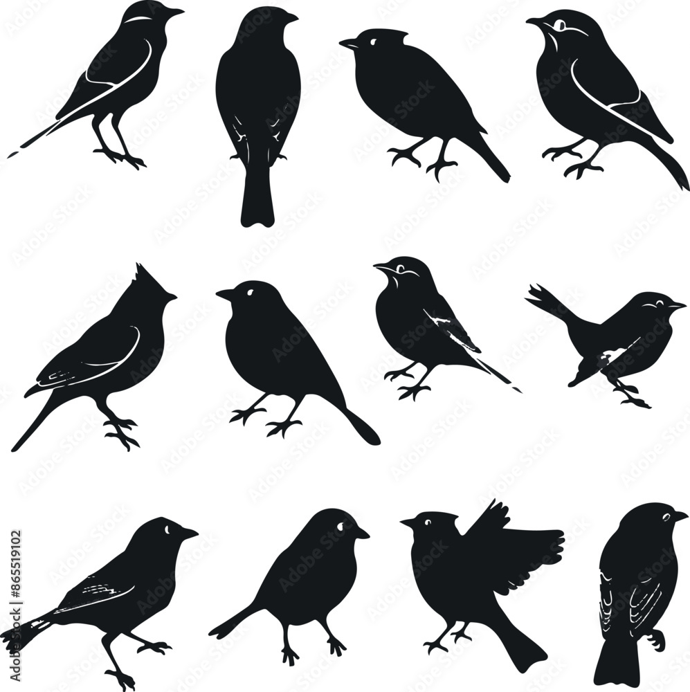 Fototapeta premium Collection of Black Bird Silhouettes: Vector Design Elements