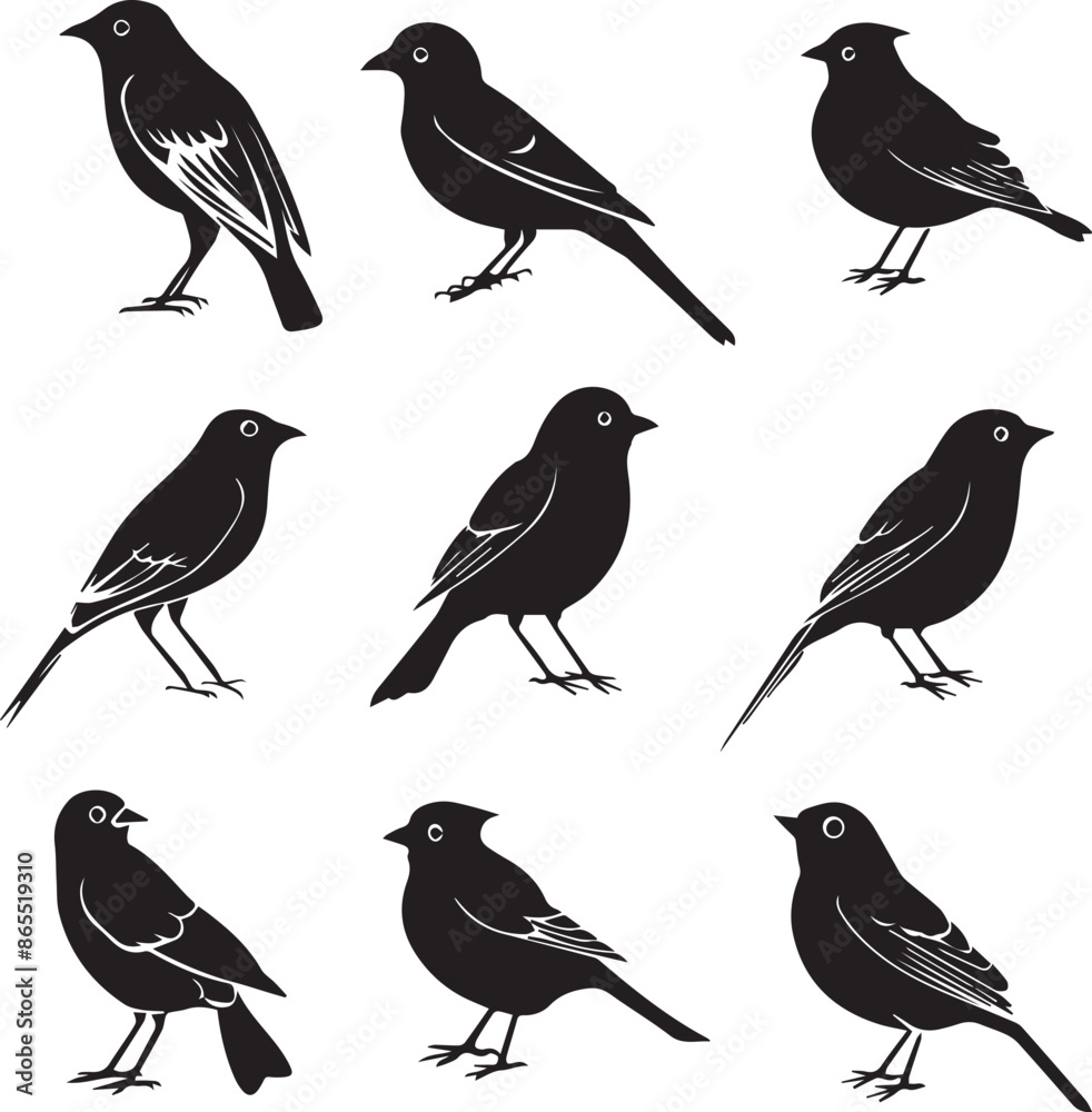 Fototapeta premium Collection of Black Bird Silhouettes: Vector Design Elements