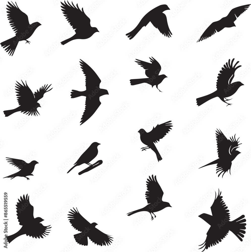 Obraz premium Collection of Black Bird Silhouettes: Vector Design Elements