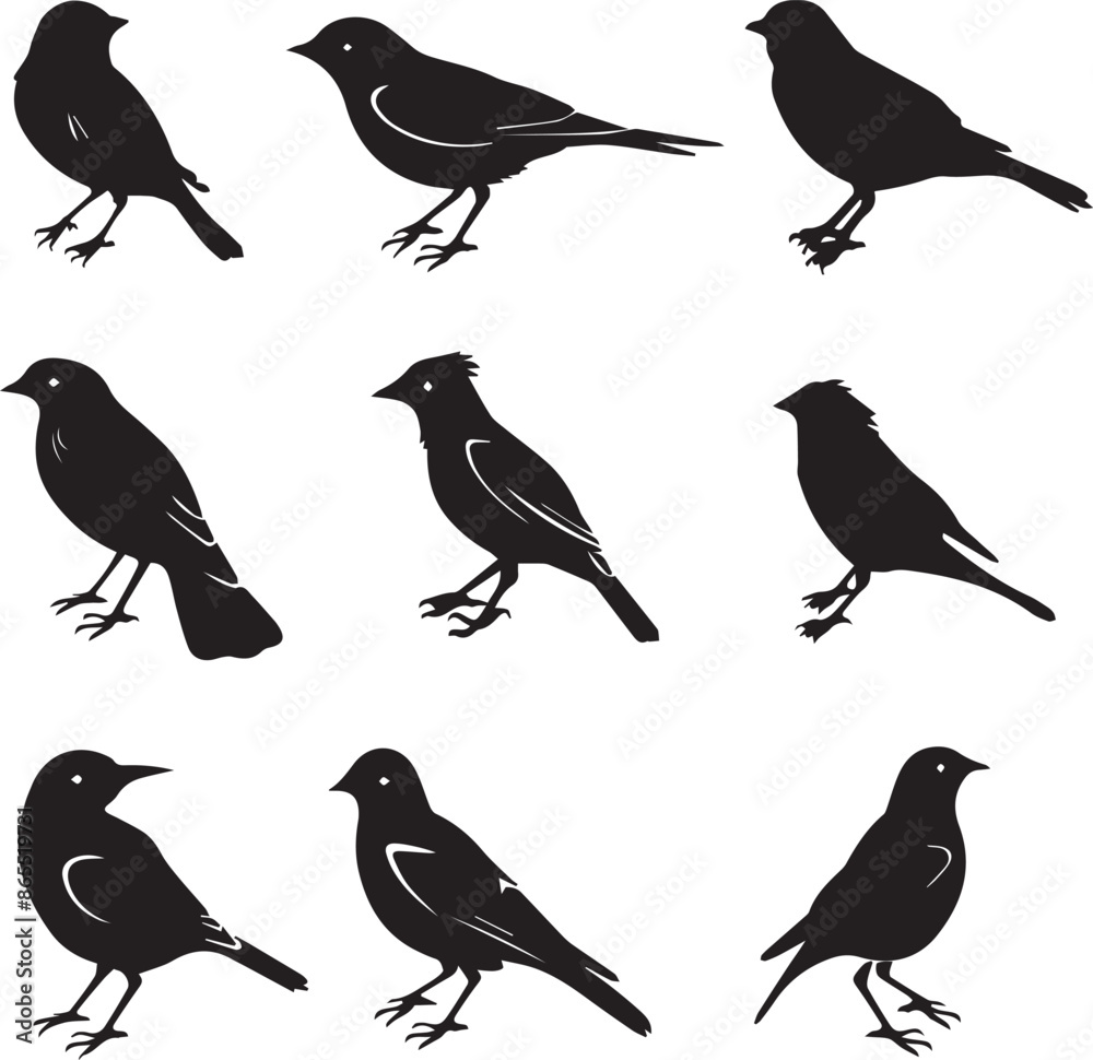 Collection of Black Bird Silhouettes: Vector Design Elements Collection of Black Bird Silhouettes: Vector Design Elements