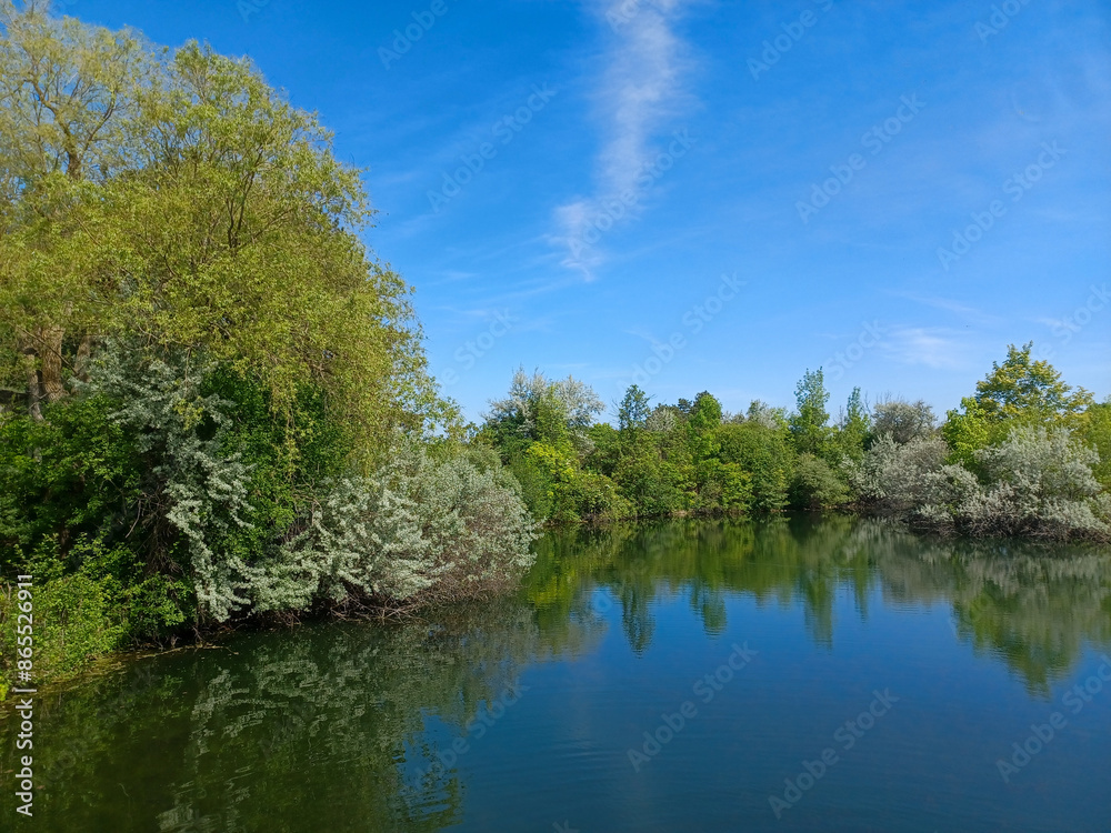 Fototapeta premium Humber riber in summer