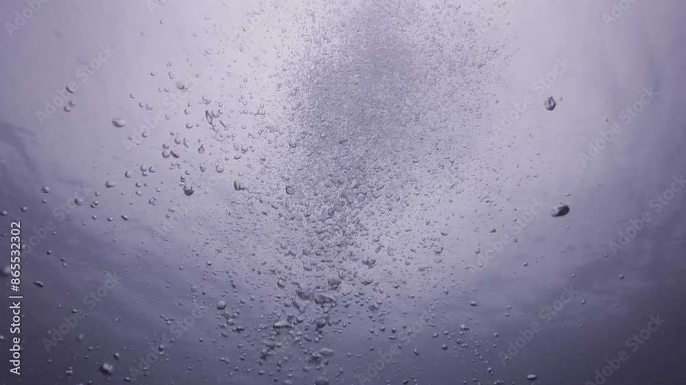 underwater bubbles in the ocean underwater bubbles in the ocean