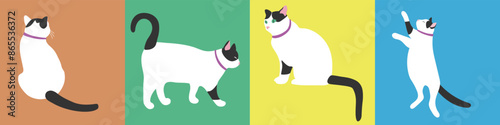 Collection of vector illustrations of a white cat. Funny pet. Isolated objects on a bright background.