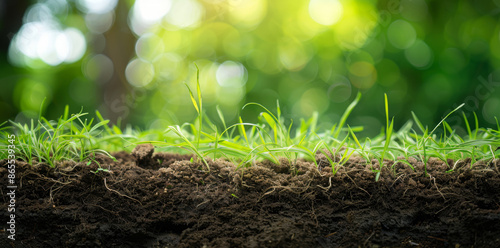 Photo of grass and soil cross section with roots, close up view on blurred green background. Background for natural environment concept