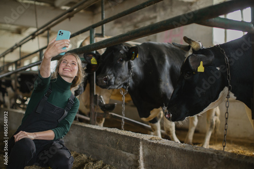 A young female farmer takes a selfie with cows on a mobile phone. © dsheremeta
