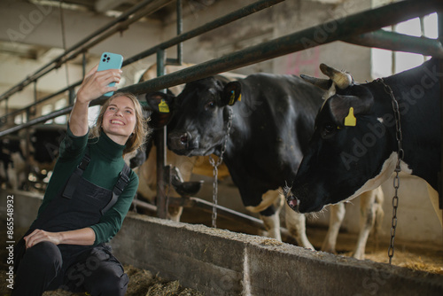 A young female farmer takes a selfie with cows on a mobile phone.