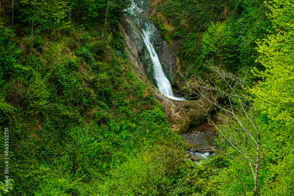 Nature's Cascade: Waterfall Amidst Dense Green Foliage Nature's Cascade: Waterfall Amidst Dense Green Foliage