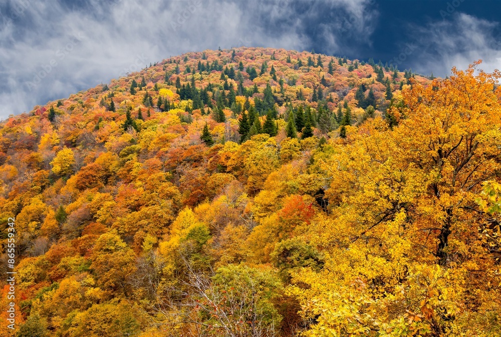 View from the Blue Ridge Parkway in North Carolina in the autumn season with the trees showing peak fall color. View from the Blue Ridge Parkway in North Carolina in the autumn season with the trees showing peak fall color.