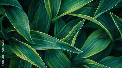 Green tropical plant close-up. 