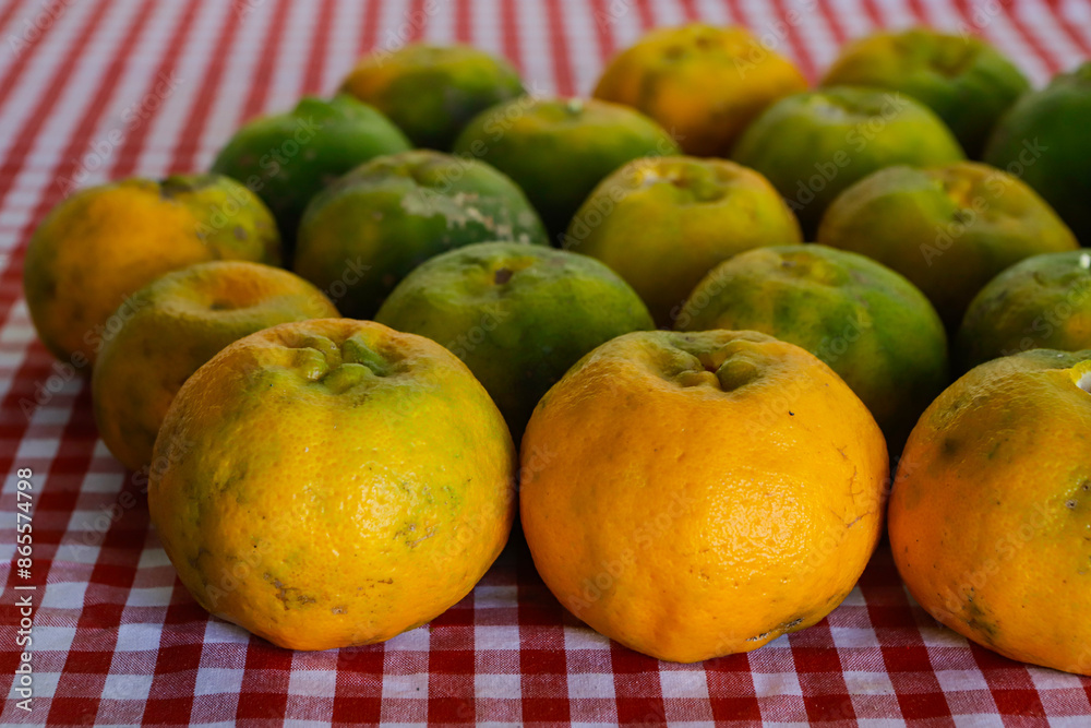 Organic tangerine (Citrus reticulata), on a red and white towel, with some stains. The fruit is also known as ponca, tangerine, morgote, bergamot or mimosa, a fruit with a strong Organic tangerine (Citrus reticulata), on a red and white towel, with some stains. The fruit is also known as ponca, tangerine, morgote, bergamot or mimosa, a fruit with a strong