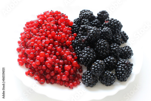 red currants and blackberries close-up