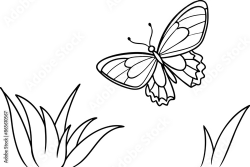 butterfly flying line art vector illustration