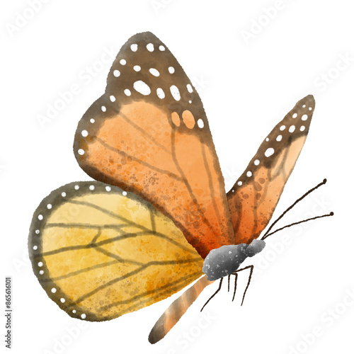 Watercolor Hand drawn illustration Rustic watercolor orange black polka dot buttefly