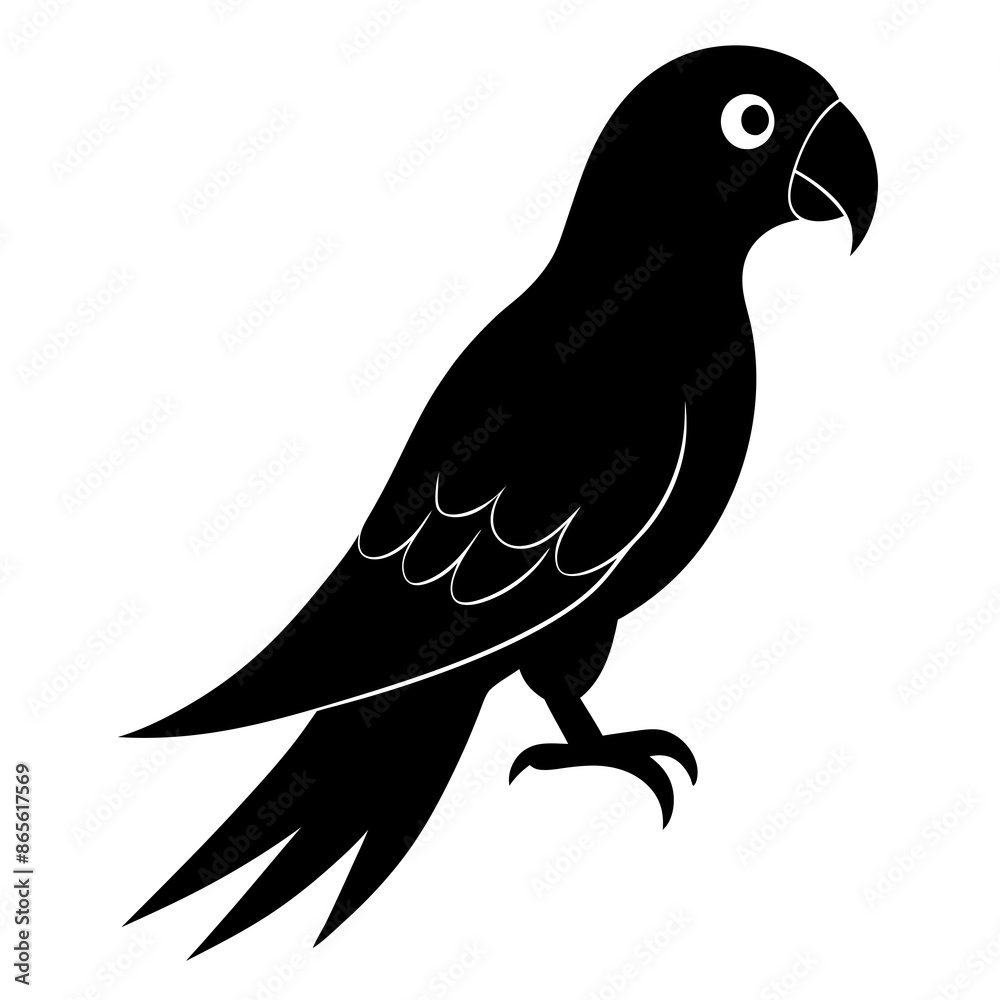 Parrot of peace Parrot of peace