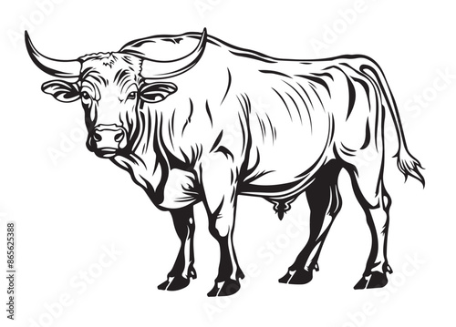 longhorn bull. Vector logo and illustration. © BigJoy