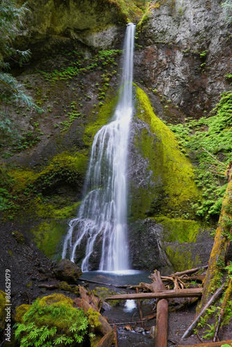 Marymere Falls in Olympic National Park photo