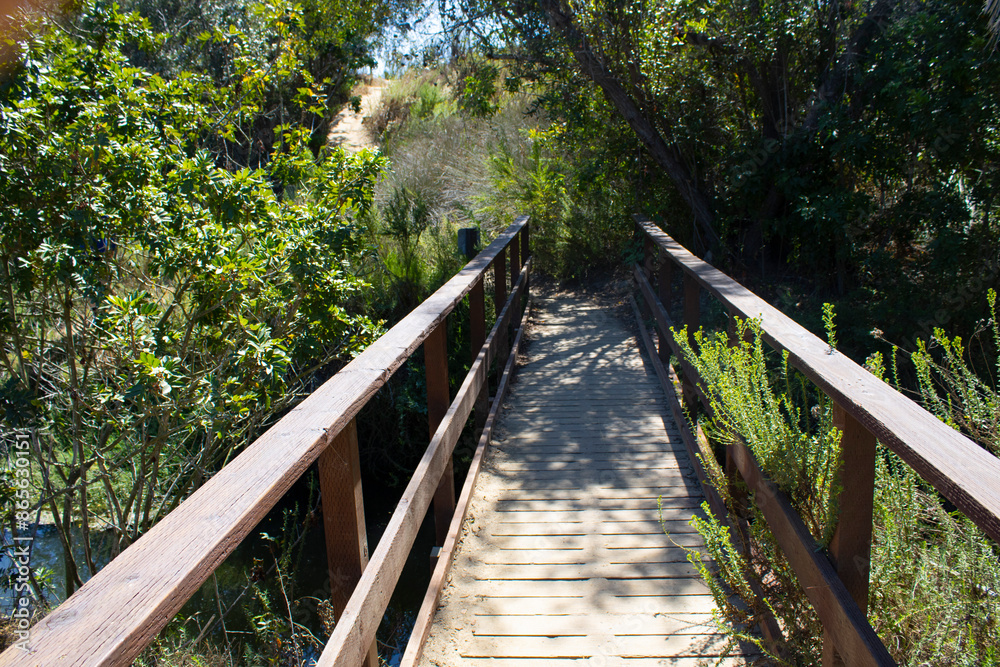 wooden bridge for hiking in park wooden bridge for hiking in park