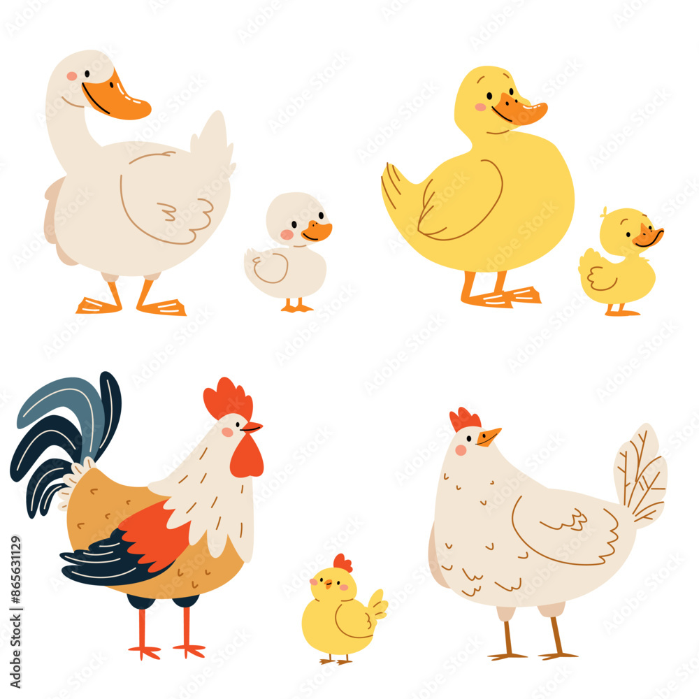 Set of flat vector illustrations on white background. Domestic birds with their children. Goose duck hen and rooster duckling chick chicken. Vector illustration Set of flat vector illustrations on white background. Domestic birds with their children. Goose duck hen and rooster duckling chick chicken. Vector illustration